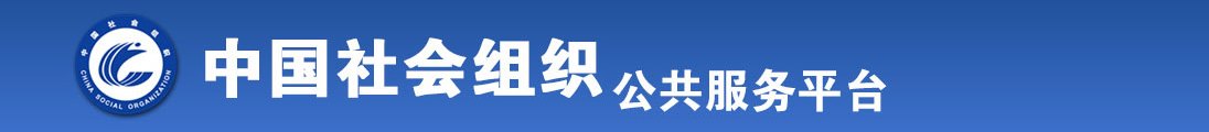 骚逼艹插视频全国社会组织信息查询